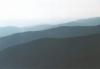 nizketatry83